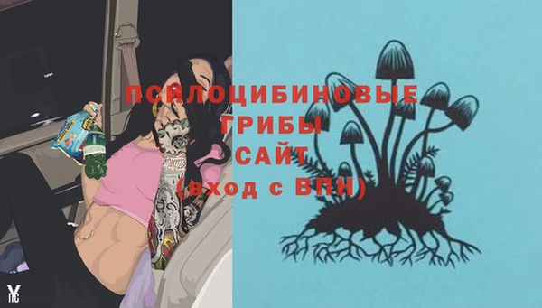 метадон Горняк