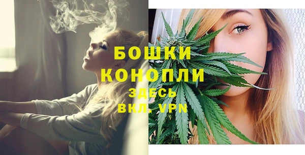крисы Горно-Алтайск